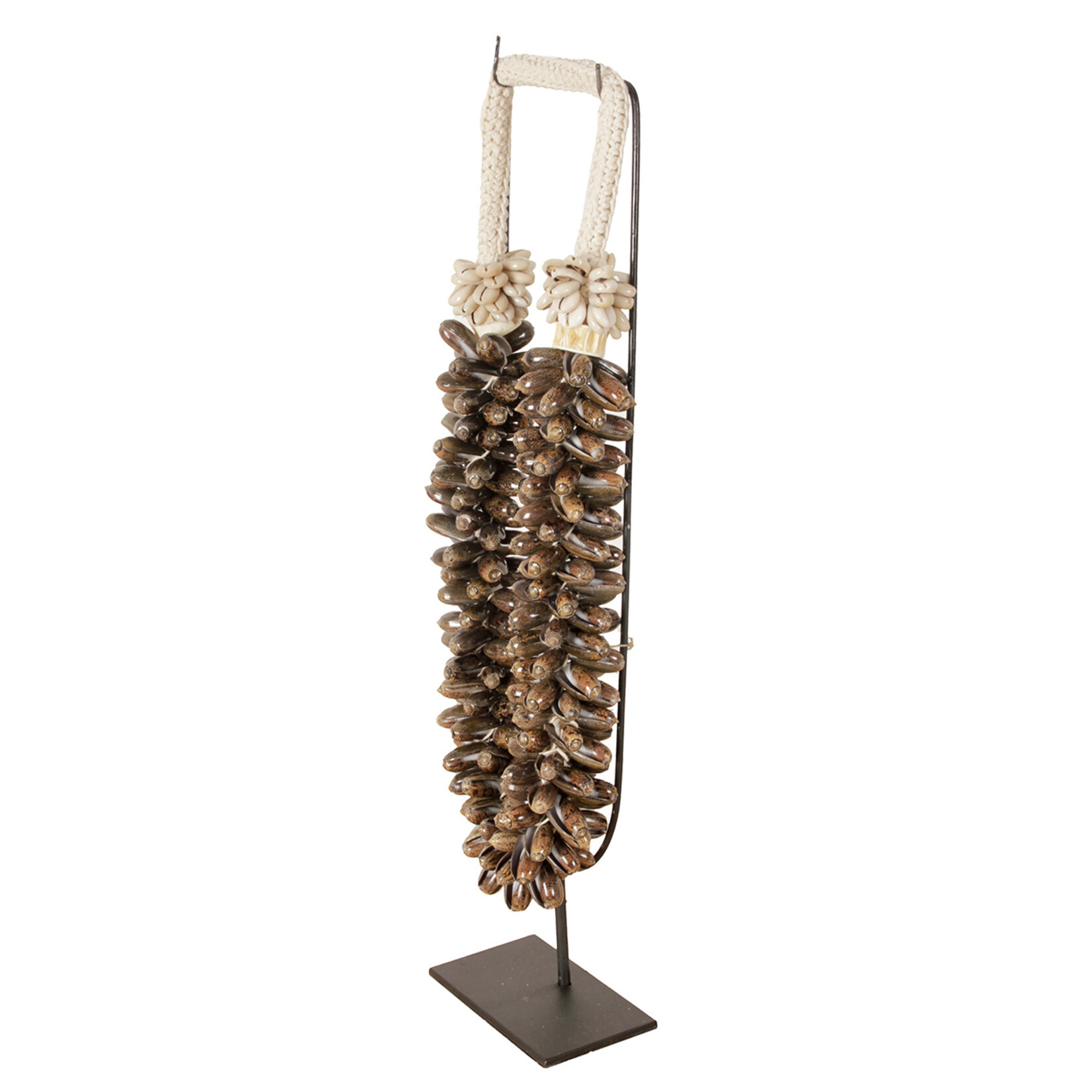 Pole To Pole SCHELPENKETTING SHELL - BRUIN