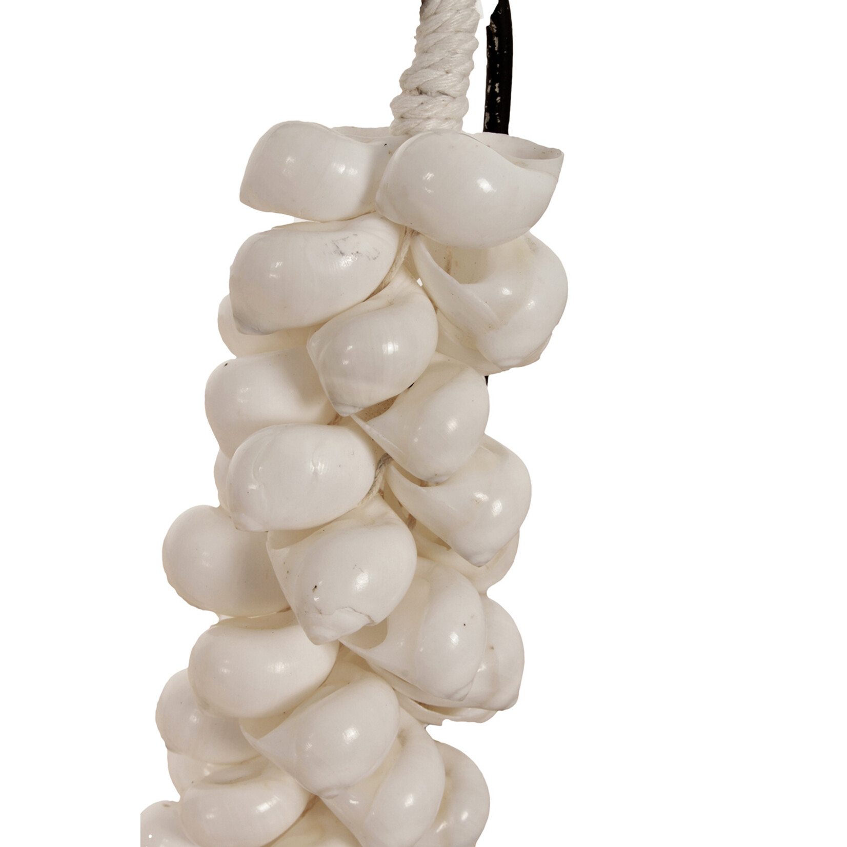 Pole To Pole SCHELPENKETTING SHELL - SMALL -WIT