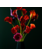 WANDKRAFT Rouges, fleurs de calice rouge
