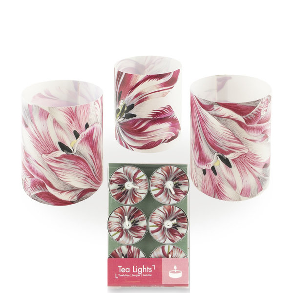 Ensemble de 3 lampes à vent avec 6 bougies chauffe-plat