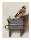 Goldfinch tea towel