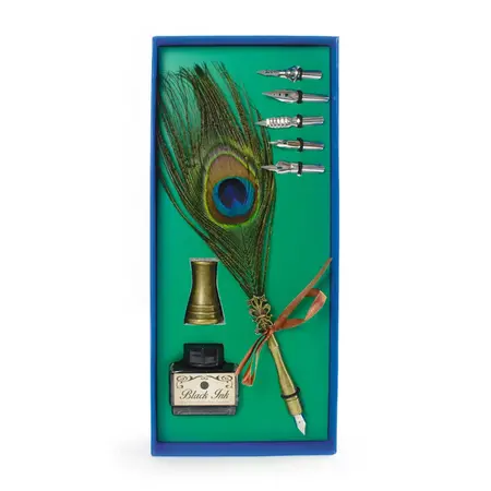 Calligraphy fountain pen set with peacock feather and ink