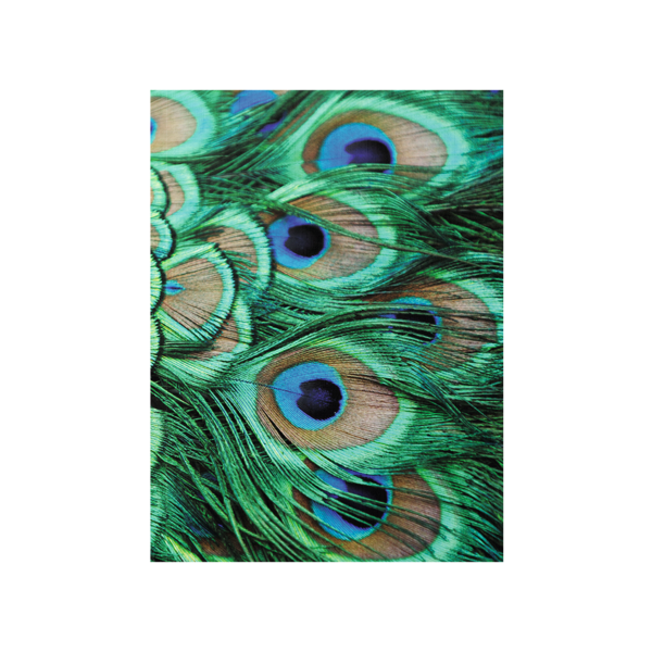 Notebook with peacock feathers