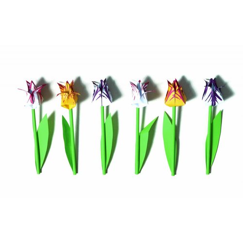 Piet Design Vouwbare tulpen 