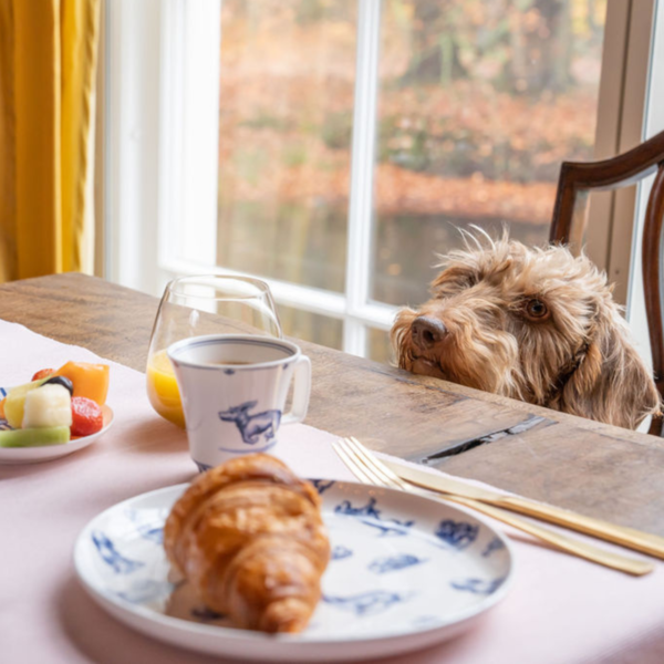 Nhaan le teckel de Janny ensemble petit-déjeuner