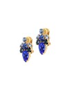 Van Gogh earrings "Irises"