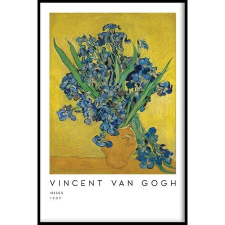 Vincent van Gogh - Irissen