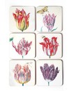 Onderzetters - Tulpen illustraties van Jakob Marrel