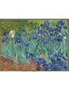 Van Gogh earrings "Irises"