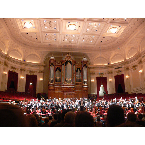 Tulip vase "The Concertgebouw Orchestra Amsterdam"