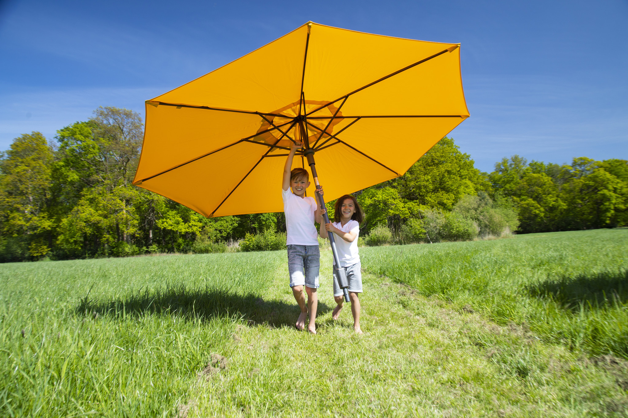 Wat betekent de zomertijd voor jouw tuin?