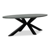 Stockholm/Montreux dining tuinset | 6 personen | betonlook + kunststof | 240cm ovaal