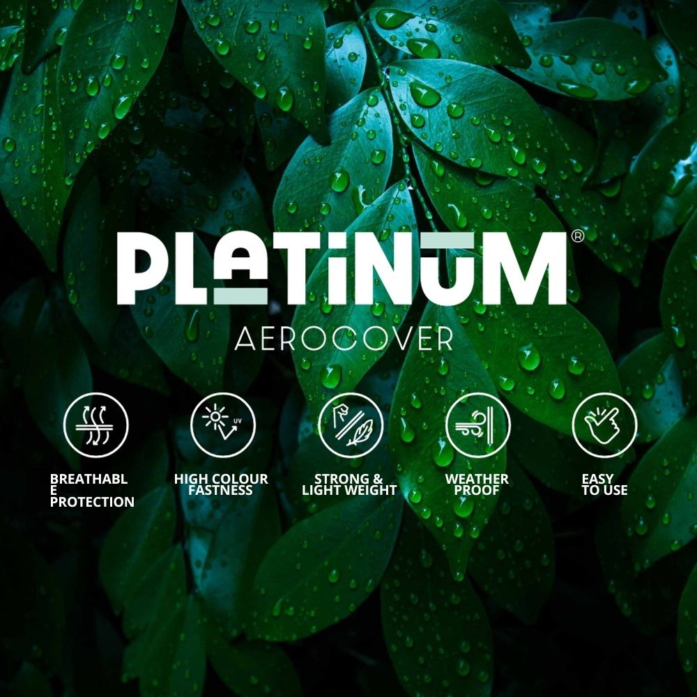 P - BBQ hoes kogelbarbecue Ø47cm