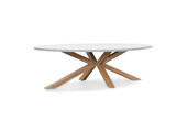 Livorno dining tuintafel 8 personen | polystone + hardhout | betonlook | 280cm