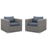 Asker loungestoel tuin set van 2 | wicker | Ash Grey