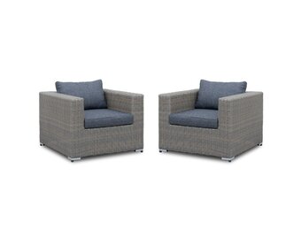 Asker loungestoel tuin set van 2 | wicker | Ash Grey
