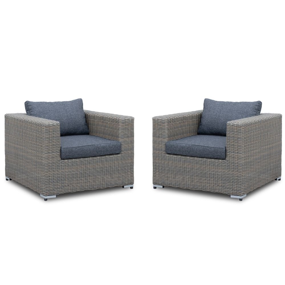 Asker loungestoel tuin set van 2 | wicker | Ash Grey