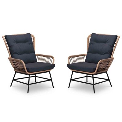 Dex loungestoel tuin set van 2 | wicker + aluminium | Bamboo antraciet
