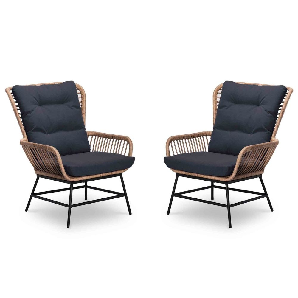 Dex loungestoel tuin set van 2 | wicker + aluminium | Bamboo antraciet