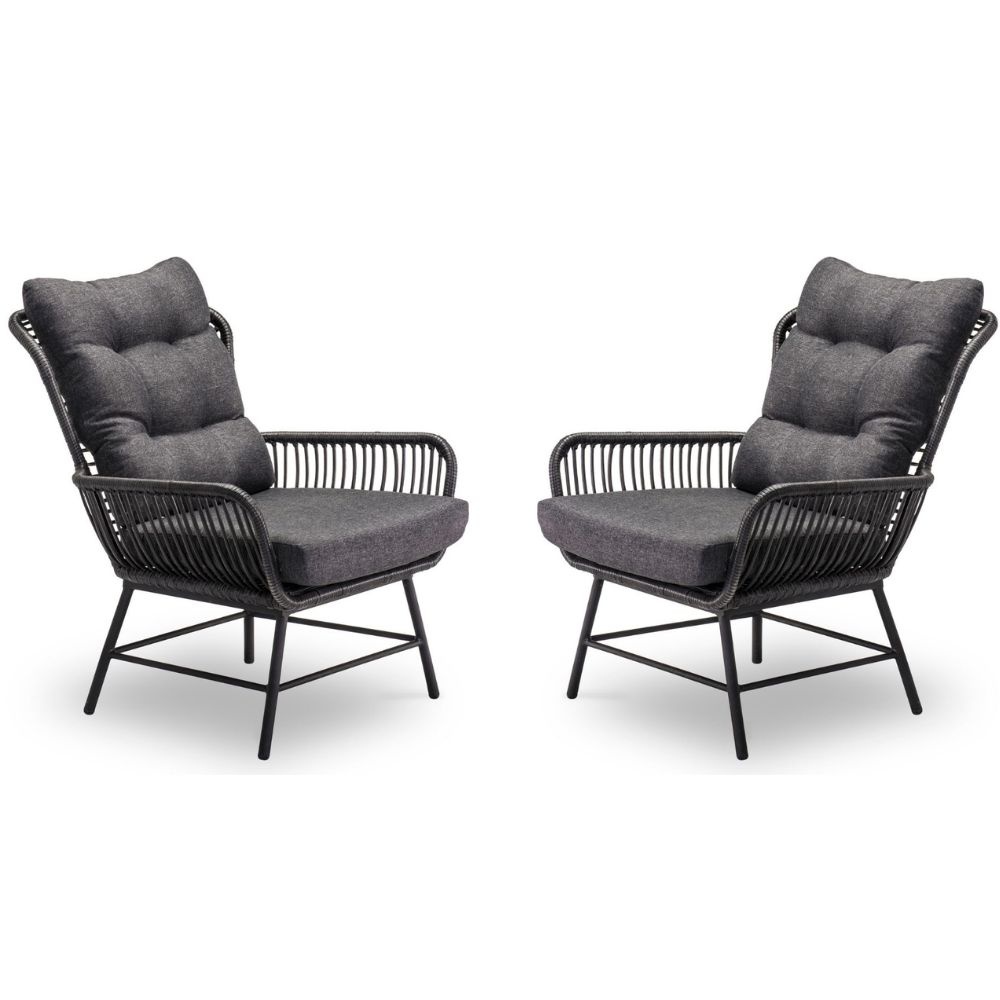 Dex loungestoel tuin set van 2 | wicker + aluminium | Charcoal