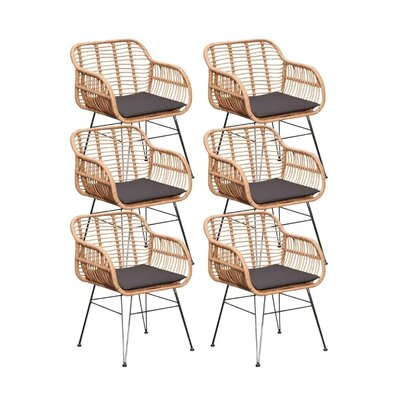 Lola dining tuinstoel set van 6 | wicker + staal | Bamboo antraciet