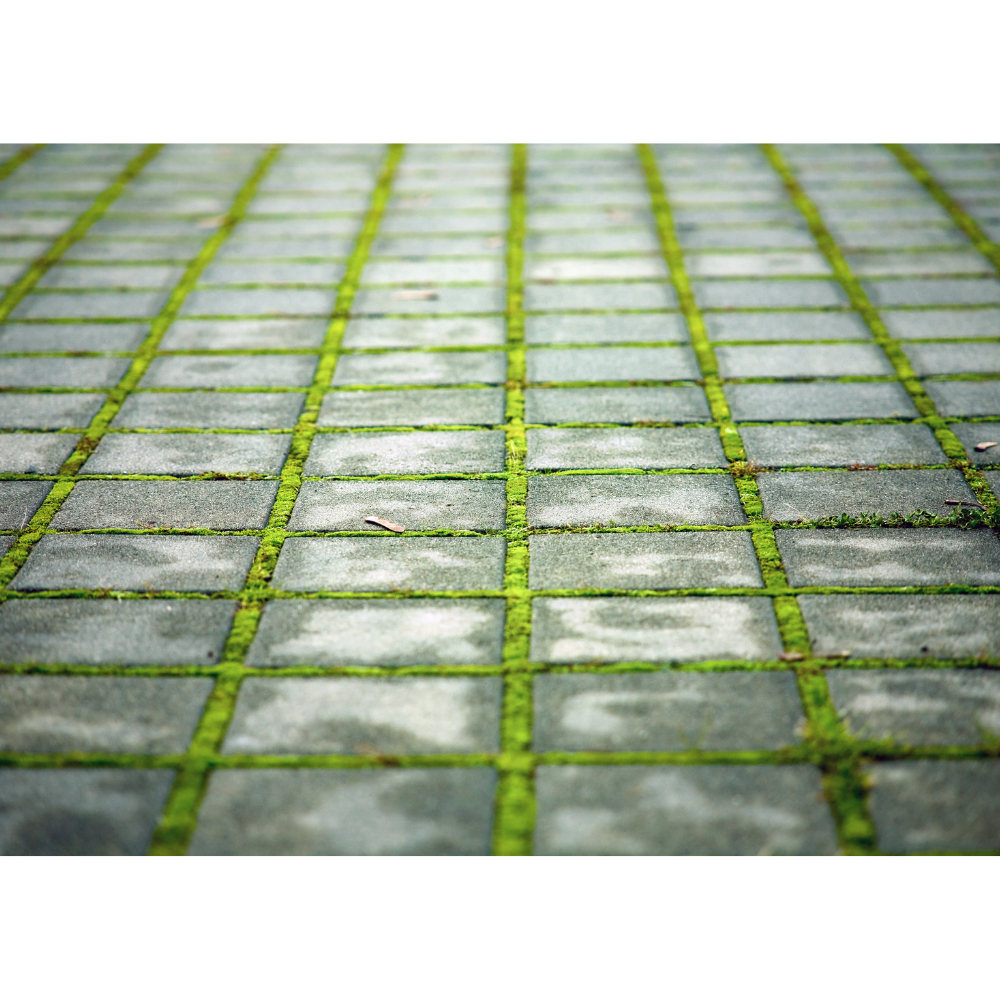 Groene aanslag verwijderen