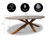 Livorno dining tuintafel 8 personen | polystone + hardhout | betonlook | 280cm