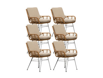 Carlos dining tuinstoel set van 6 | wicker + RVS | Bamboo taupe