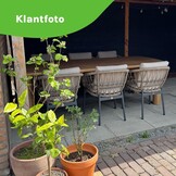 Laredo dining tuintafel 6 personen | hardhout | teaklook | 255cm