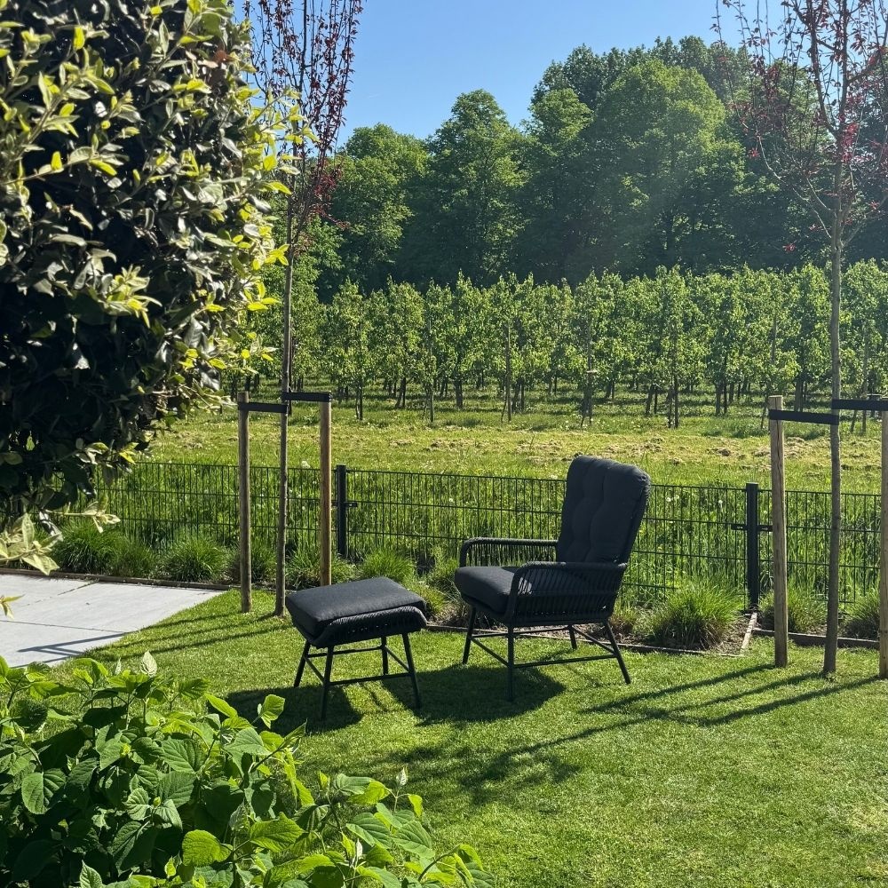 Dex loungestoel tuin incl. voetenbank | touw + aluminium | Lava Grey