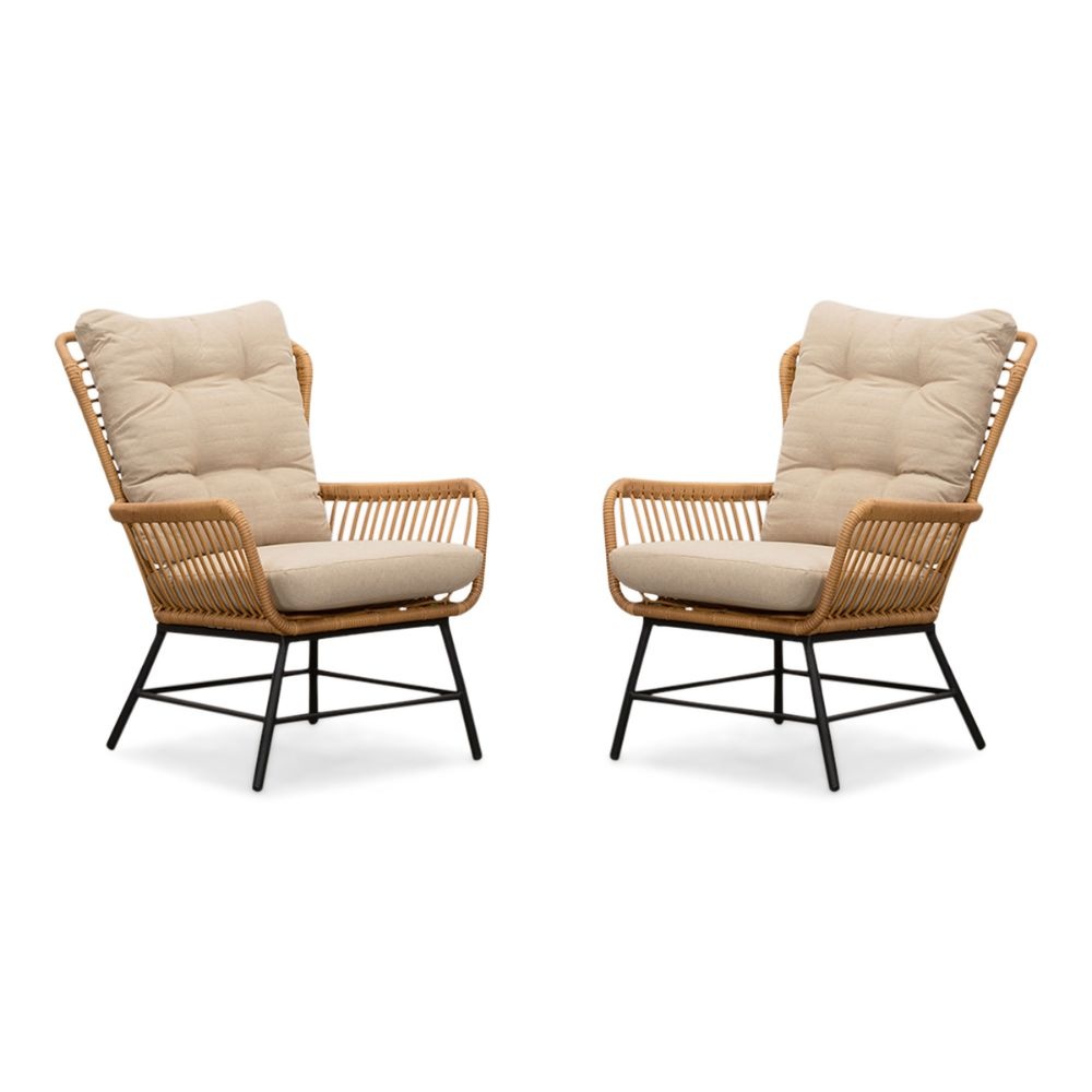 Dex loungestoel tuin set van 2 | wicker + aluminium | Bamboo taupe