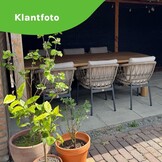 Laredo/Seville zand dining tuinset | 6 personen | hardhout + aluminium | 255cm