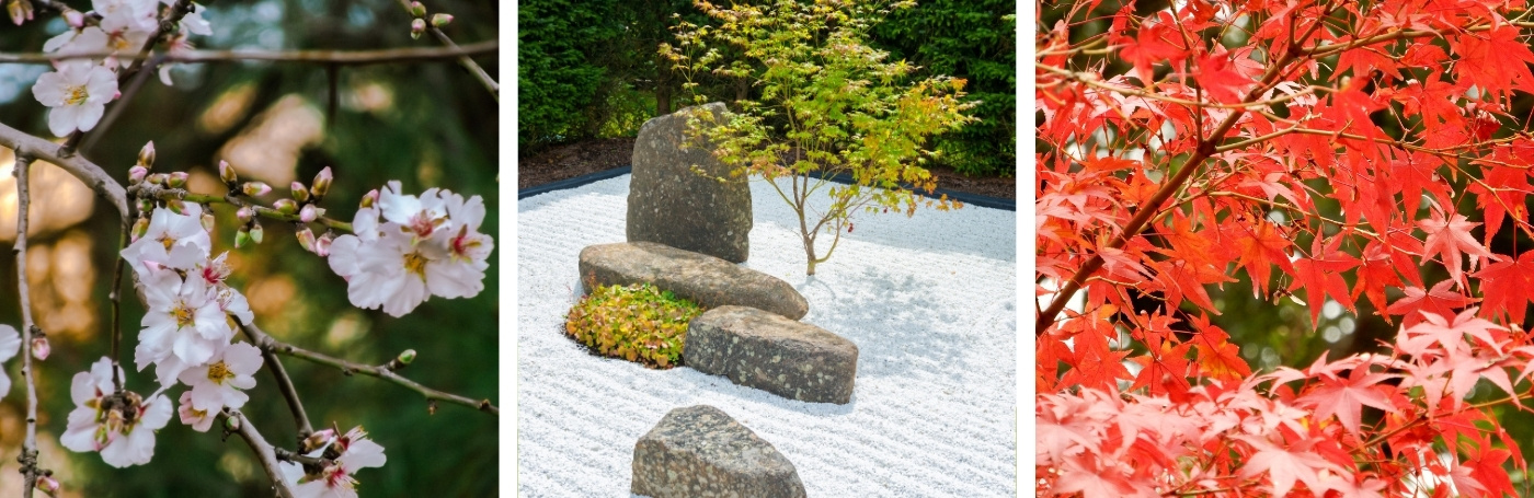 Oosterse tuin beplanting planten ideeën