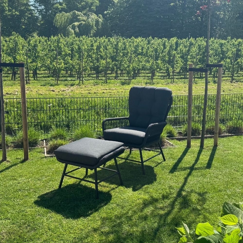 Dex loungestoel tuin set van 2 | touw + aluminium | Lava Grey