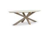 Calma dining tuintafel 6 personen | sintered stone + aluminium | Marble Latte | 240cm ovaal