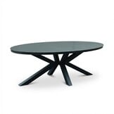 Firenze dining tuintafel 6 personen | sintered stone + aluminium | antraciet | 220cm ovaal