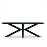 Firenze dining tuintafel 6 personen | sintered stone + aluminium | antraciet | 220cm ovaal