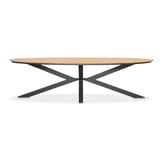Dallas/Boston dining tuinset | 6 personen | polywood + aluminium | 220cm