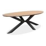 Dallas/Boston dining tuinset | 6 personen | polywood + aluminium | 220cm