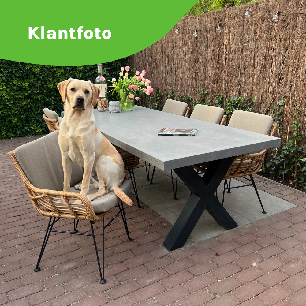 Lyon/Gianna Stone Grey dining tuinset | 6 personen | polystone + touw | 250cm
