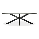 Stockholm/Lucca dining tuinset | 8 personen | polystone + wicker | 280cm