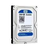 Western Digital HDD WD Blue 3.5inch / 250GB / 7200RPM PULLED