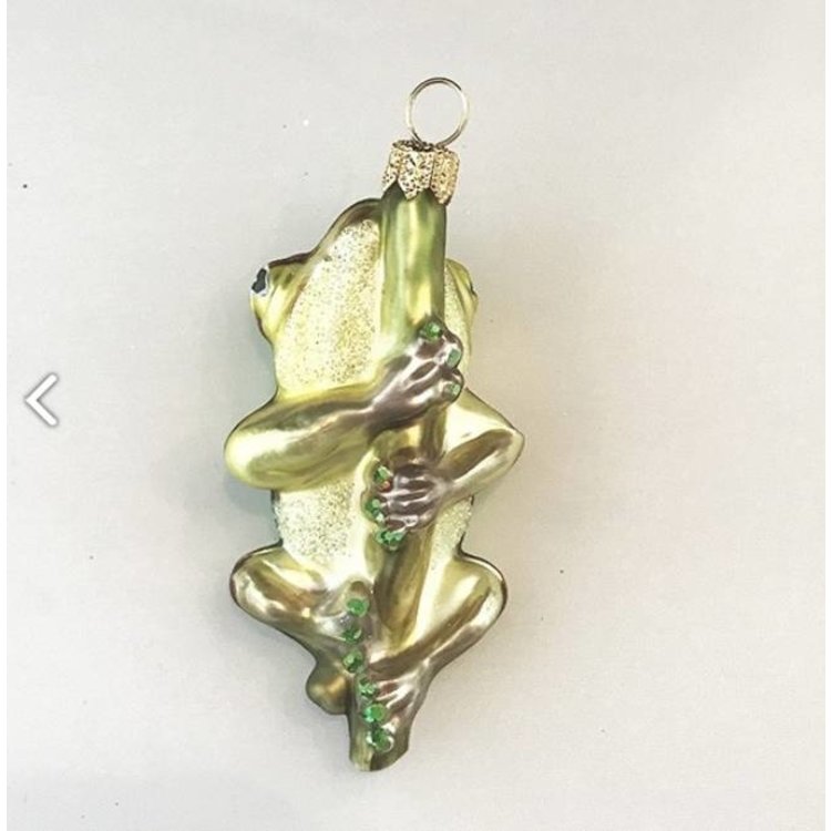 Christmas Ornament Frog on a Small Branch