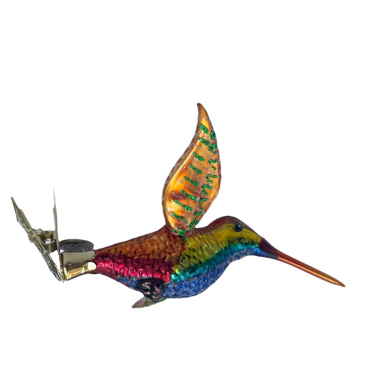 Vogelclip Kolibrie Kleurrijk