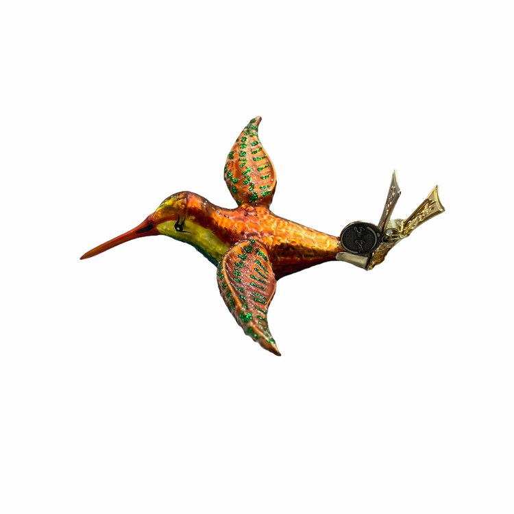 Vogelclip Kolibrie Kleurrijk