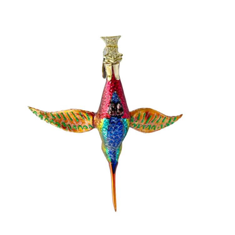 Vogelclip Kolibrie Kleurrijk