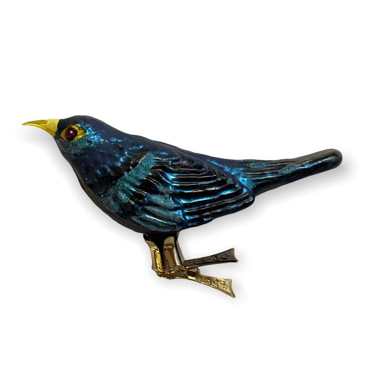 Vogelclip Blauwe Rotslijster