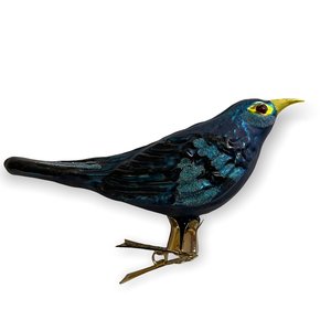 Vogelclip Blauwe Rotslijster