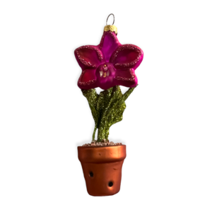 Christmas Ornament Orchid