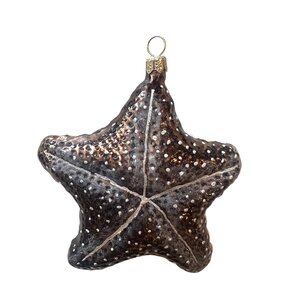 Christmas Ornament Starfish Brown